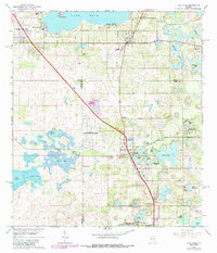 Lady Lake 1966 topographic map thumbnail