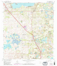 Lady Lake 1966 topographic map preview