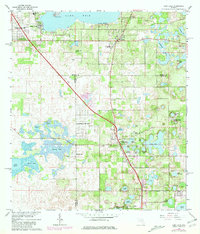 Lady Lake 1966 topographic map thumbnail