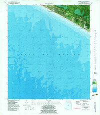 Laguna Beach 1982 topographic map thumbnail