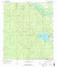Lake Delancy 1970 topographic map thumbnail