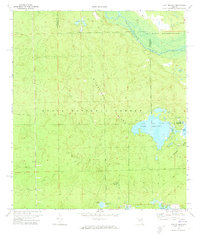 Lake Delancy 1970 topographic map thumbnail