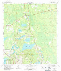 Lake Dias 1971 topographic map preview