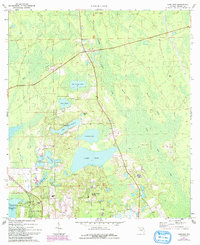 Lake Dias 1971 topographic map thumbnail