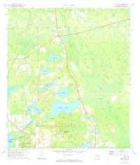 Lake Dias 1971 topographic map preview