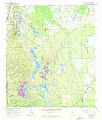 Lake Helen 1966 topographic map thumbnail