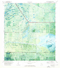 Lake Hicpochee 1971 topographic map thumbnail