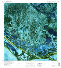 Lake Ingraham East 1972 topographic map thumbnail