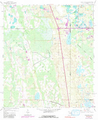 Lake Louisa SW 1959 topographic map thumbnail