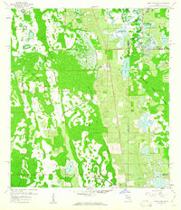 Lake Louisa SW 1959 topographic map thumbnail
