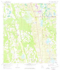 Lake Louisa SW 1959 topographic map thumbnail