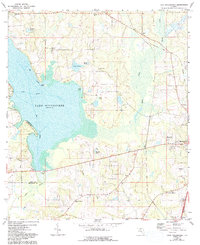 Lake Miccosukee 1963 topographic map thumbnail