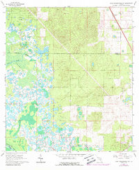 Lake Panasoffkee NW 1966 topographic map thumbnail