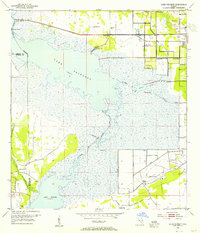 Lake Poinsett 1953 topographic map thumbnail
