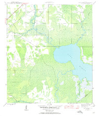 Lake Wimico 1945 topographic map thumbnail