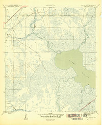Lake Wimico 1945 topographic map thumbnail