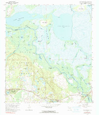 Lake Woodruff 1962 topographic map thumbnail