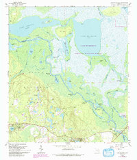Lake Woodruff 1962 topographic map thumbnail