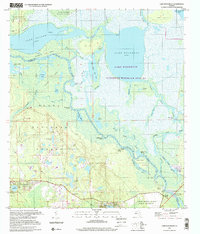 Lake Woodruff 1999 topographic map thumbnail