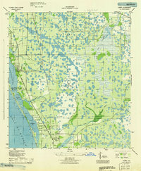 Laurel 1944 topographic map preview