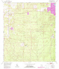 Lecanto 1954 topographic map preview