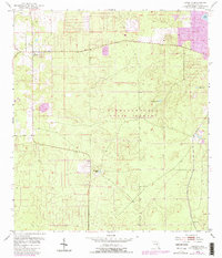 Lecanto 1954 topographic map thumbnail