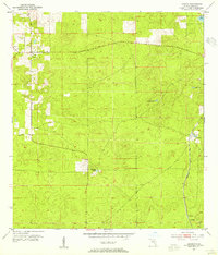Lecanto 1954 topographic map preview
