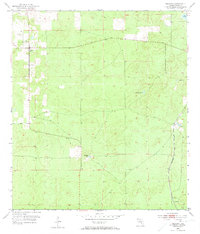 Lecanto 1954 topographic map preview
