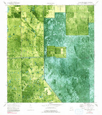 Little Cypress Swamp 1974 topographic map thumbnail