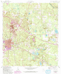 Live Oak East 1961 topographic map thumbnail