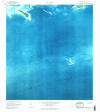 Loggerhead Key 1972 topographic map thumbnail