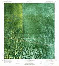 Lone Palm Head 1973 topographic map thumbnail