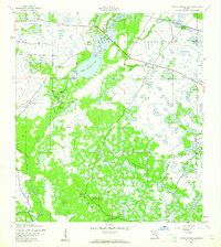Lower Myakka Lake 1944 topographic map thumbnail