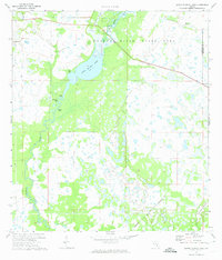 Lower Myakka Lake 1973 topographic map thumbnail