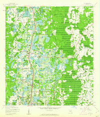 Lutz 1943 topographic map thumbnail