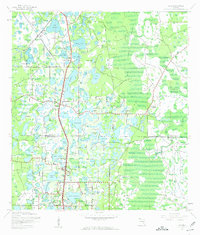 Lutz 1943 topographic map thumbnail
