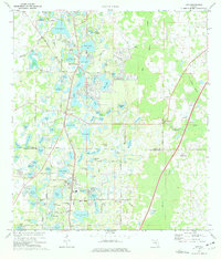 Lutz 1974 topographic map thumbnail