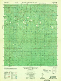 Mallory Swamp NW 1956 topographic map thumbnail
