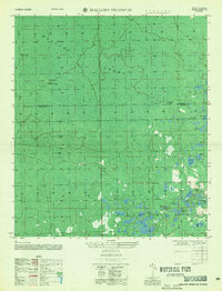 Mallory Swamp SE 1956 topographic map thumbnail