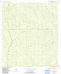 Mallory Swamp SW 1954 topographic map thumbnail