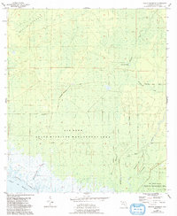 Manlin Hammock 1955 topographic map thumbnail