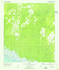 Manlin Hammock 1955 topographic map thumbnail