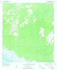 Manlin Hammock 1955 topographic map thumbnail