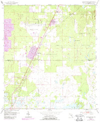 Masaryktown 1954 topographic map thumbnail