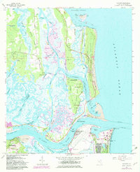 Mayport 1964 topographic map thumbnail