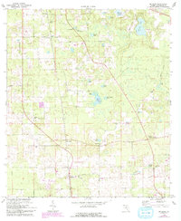 McAlpin 1969 topographic map thumbnail