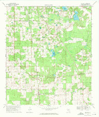 McAlpin 1969 topographic map preview