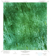 Melaleuca Head 1973 topographic map thumbnail