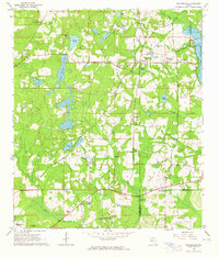 Miccosukee 1963 topographic map thumbnail