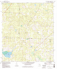 Miccosukee NE topographic map thumbnail
